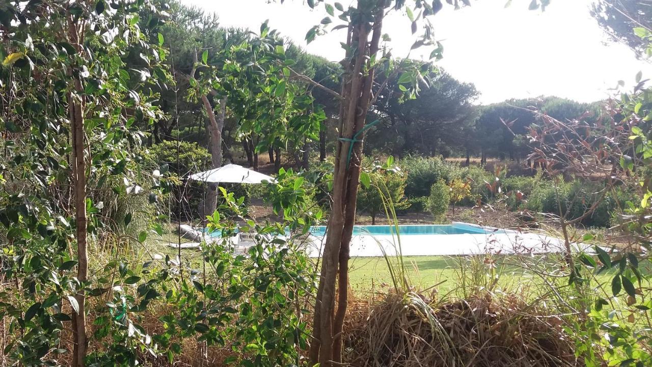 Casa Rio Da Prata Villa Aldeia do Meco Eksteriør bilde